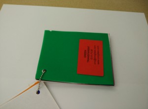 Green EVAVISION transparent EVA interlayer film for laminated safety glass (25)