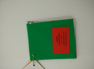 Green EVAVISION transparent EVA interlayer film for laminated safety glass (30)